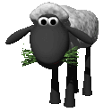 primer avance informativo sobre: la oveja asesina!!!
